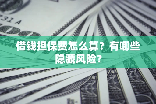 武汉借钱担保费怎么算？有哪些隐藏风险？