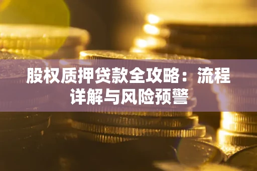 武汉股权质押贷款全攻略：流程详解与风险预警