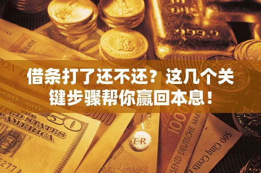 武汉借条打了还不还？这几个关键步骤帮你赢回本息！