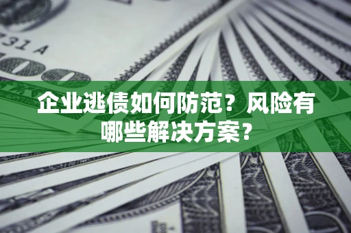 武汉企业逃债如何防范？风险有哪些解决方案？