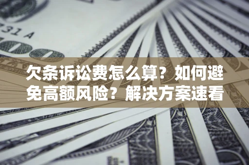 武汉欠条诉讼费怎么算？如何避免高额风险？解决方案速看！