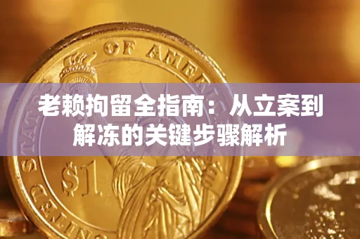 武汉老赖拘留全指南：从立案到解冻的关键步骤解析