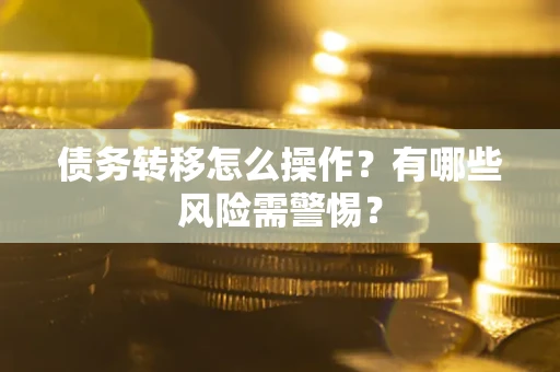 武汉债务转移怎么操作？有哪些风险需警惕？