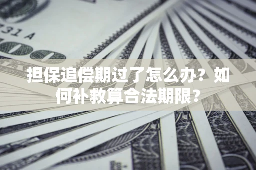武汉担保追偿期过了怎么办？如何补救算合法期限？