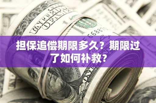 武汉担保追偿期限多久？期限过了如何补救？