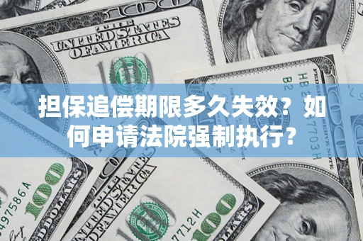 武汉担保追偿期限多久失效？如何申请法院强制执行？