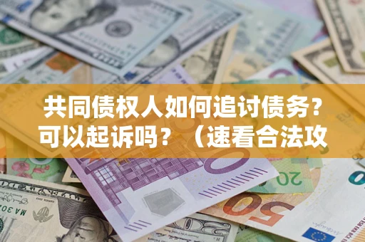 武汉共同债权人如何追讨债务？可以起诉吗？（速看合法攻略）