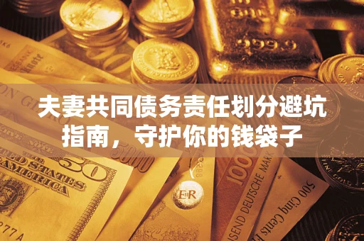 武汉夫妻共同债务责任划分避坑指南，守护你的钱袋子