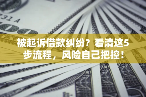 武汉被起诉借款纠纷？看清这5步流程，风险自己把控！