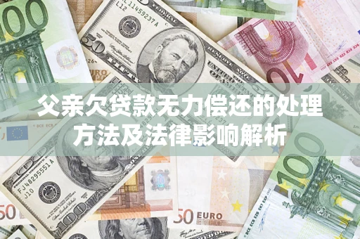 武汉父亲欠贷款无力偿还的处理方法及法律影响解析