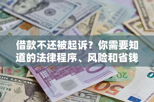 武汉借款不还被起诉？你需要知道的法律程序、风险和省钱技巧